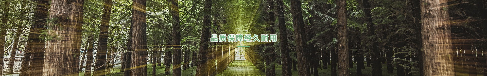 http://www.luonen.cn/data/upload/202103/20210323155656_463.jpg